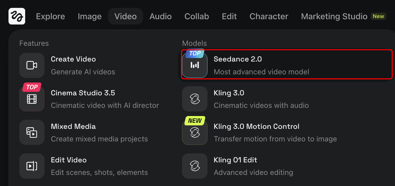 Higgsfield UI showing Seedance 2.0 model selection